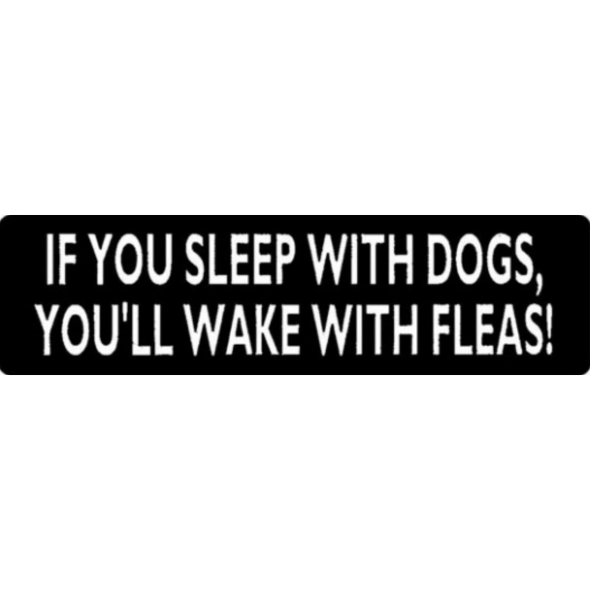 If you sleep with dogs you'll wake with fleas vinyl motorcycle helmet sticker - funny biker decal