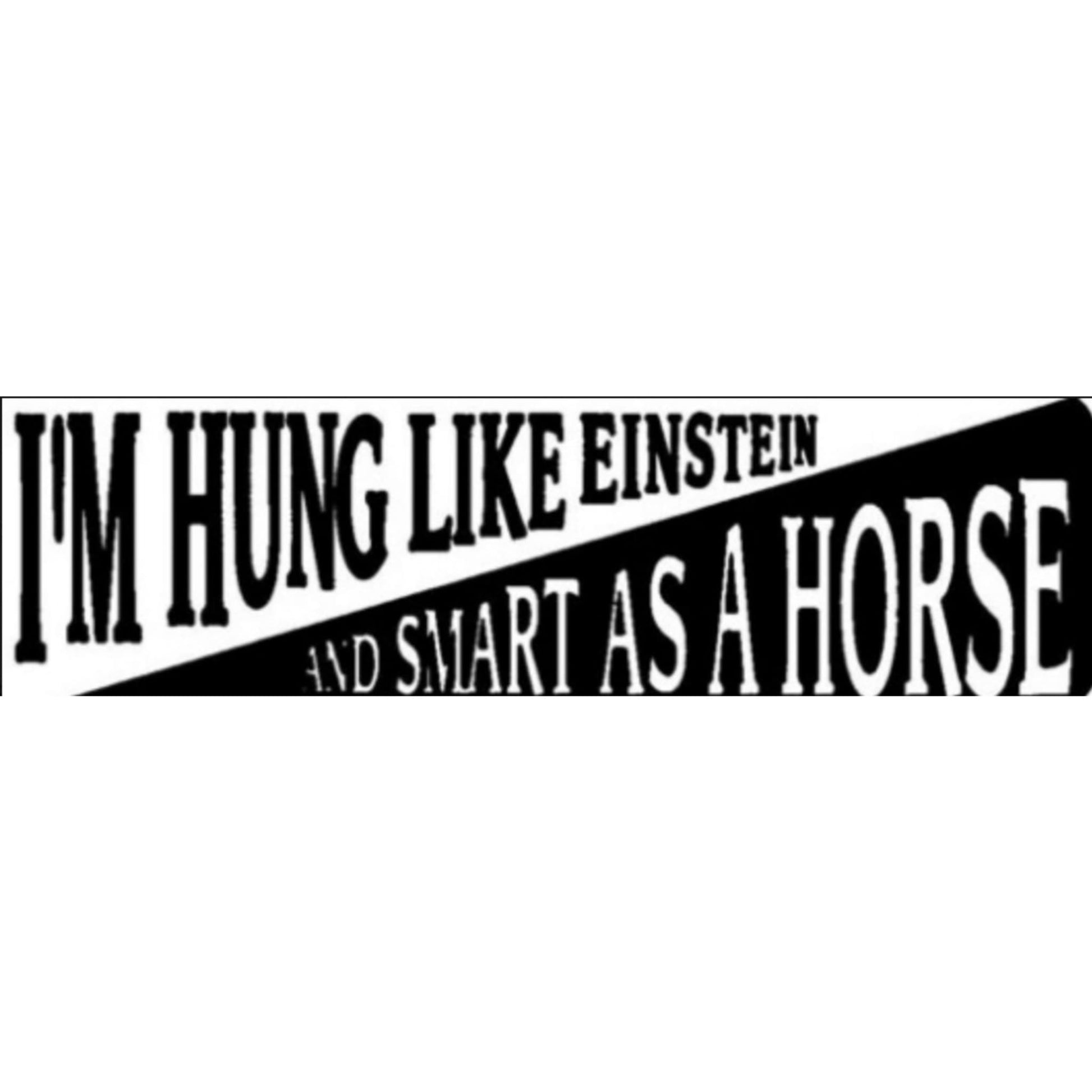 I'm hung like Einstein and smart as a horse vinyl motorcycle helmet sticker - funny biker decal