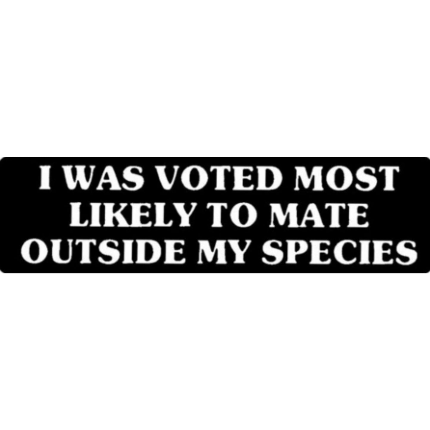I was voted most likely to mate outside my species vinyl motorcycle helmet sticker - funny biker decal